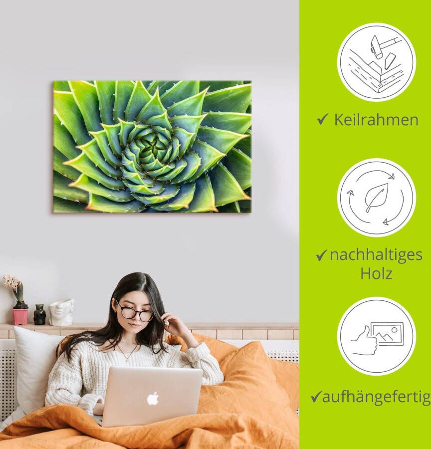 Artland Artprint Groene spiraal als artprint van aluminium artprint op linnen muursticker of poster in verschillende maten