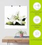 Artland Artprint Grote lelie als artprint op linnen poster in verschillende formaten maten - Thumbnail 6