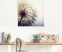 Artland Artprint Grote pluizenbol als artprint van aluminium artprint voor buiten artprint op linnen poster muursticker - Thumbnail 5