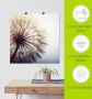 Artland Artprint Grote pluizenbol als artprint van aluminium artprint voor buiten artprint op linnen poster muursticker - Thumbnail 6