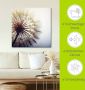 Artland Artprint Grote pluizenbol als artprint van aluminium artprint voor buiten artprint op linnen poster muursticker - Thumbnail 5