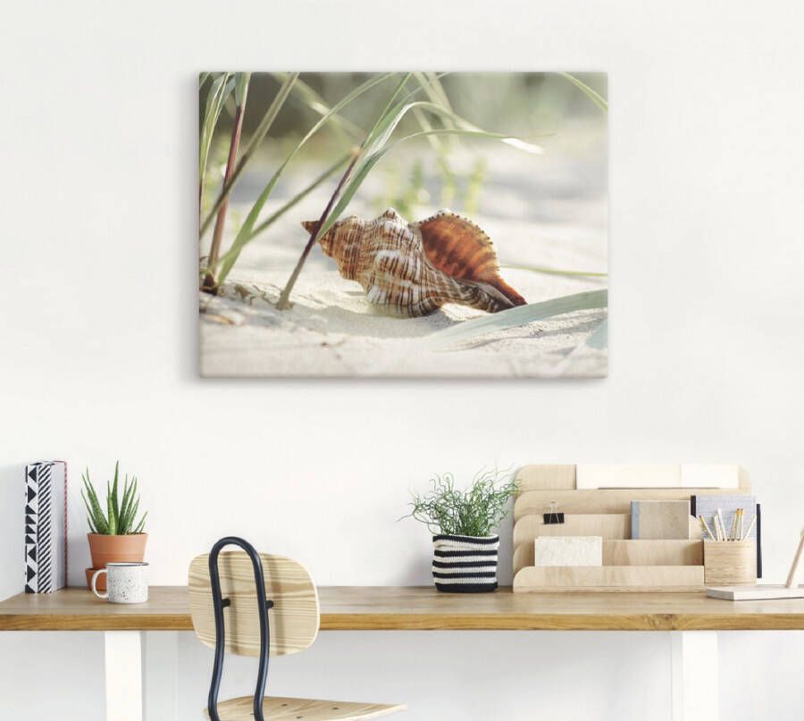 Artland Artprint Grote schelp op het strand als artprint op linnen poster muursticker in verschillende maten