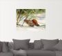 Artland Artprint Grote schelp op het strand als artprint op linnen poster muursticker in verschillende maten - Thumbnail 2