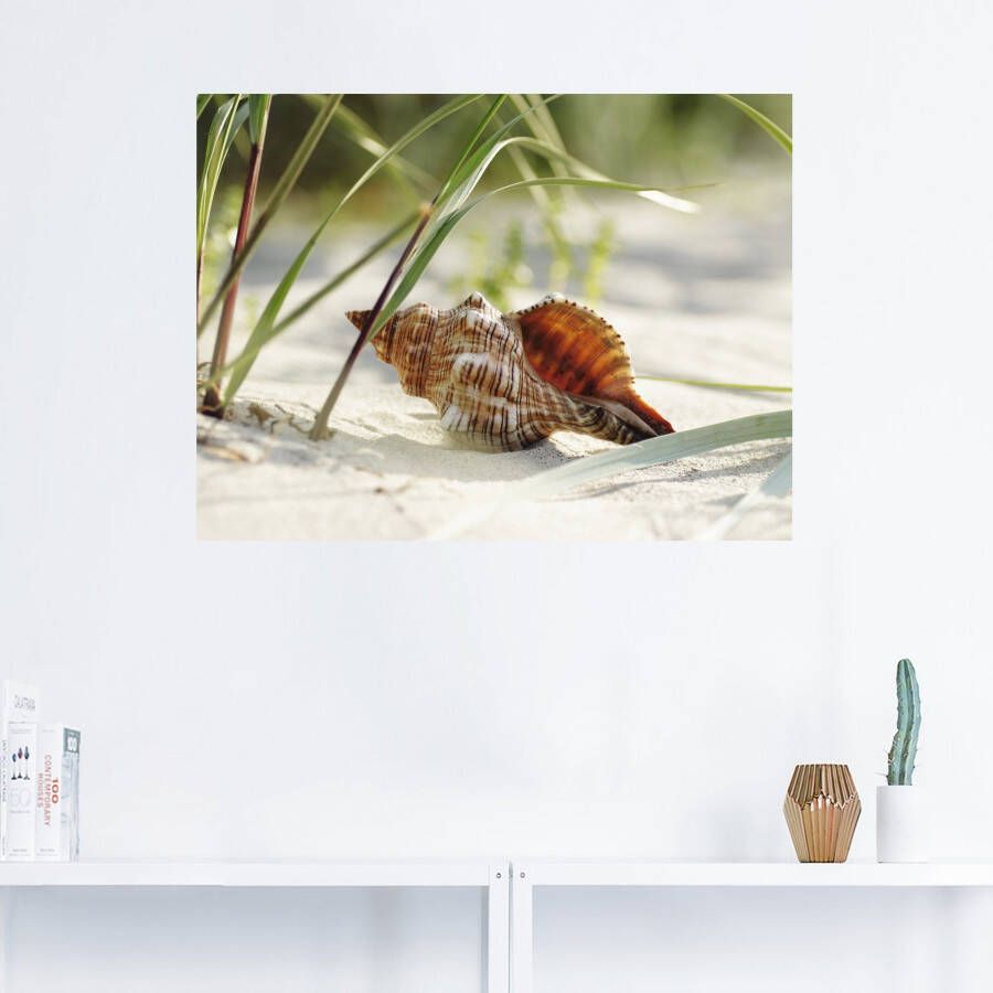 Artland Artprint Grote schelp op het strand als artprint op linnen poster muursticker in verschillende maten