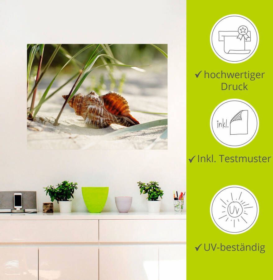 Artland Artprint Grote schelp op het strand als artprint op linnen poster muursticker in verschillende maten