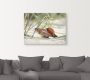 Artland Artprint Grote schelp op het strand als artprint op linnen poster muursticker in verschillende maten - Thumbnail 2