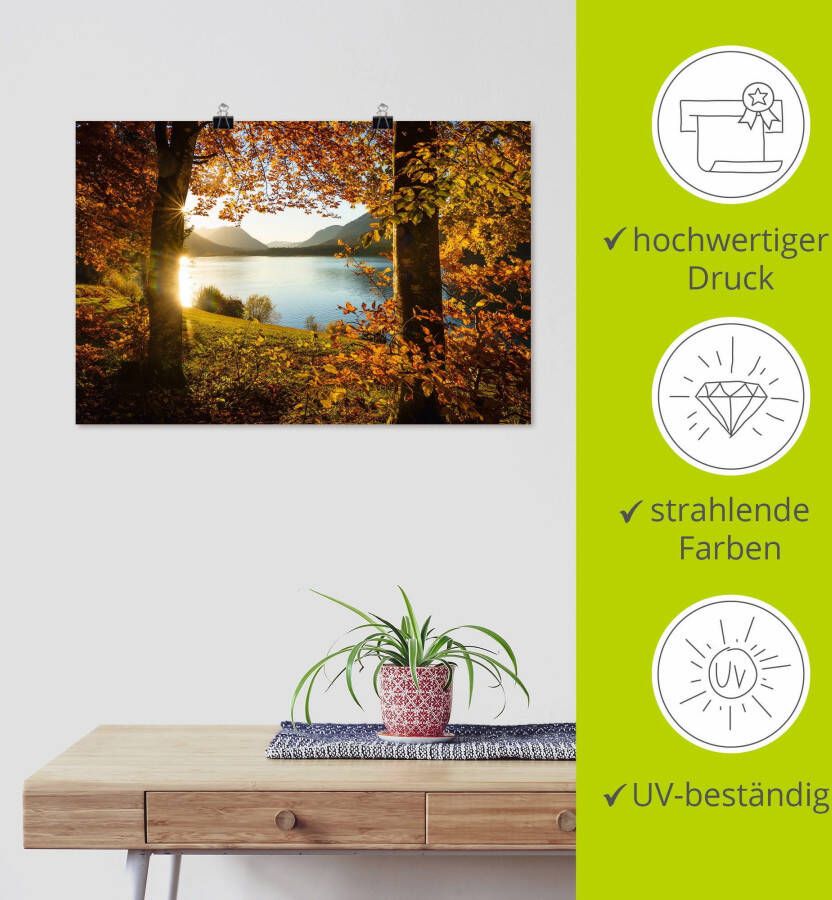 Artland Artprint Herfst aan de Sylvensteinsee als artprint van aluminium artprint voor buiten artprint op linnen poster in verschillende maten. maten