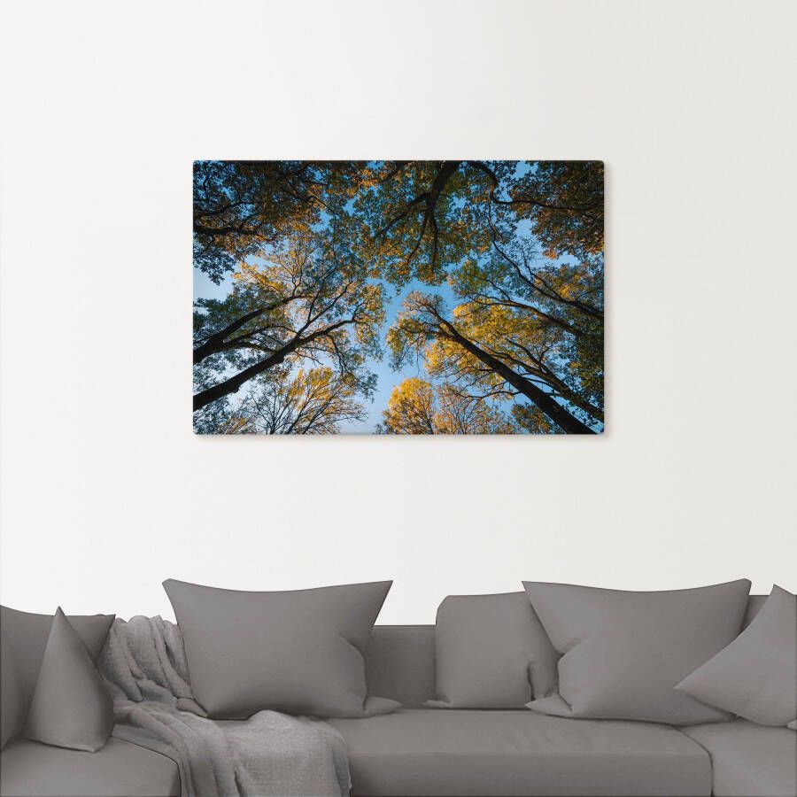 Artland Artprint Herfst in het bos als artprint van aluminium artprint voor buiten artprint op linnen in verschillende maten