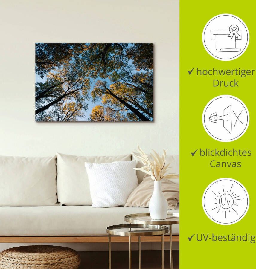 Artland Artprint Herfst in het bos als artprint van aluminium artprint voor buiten artprint op linnen in verschillende maten