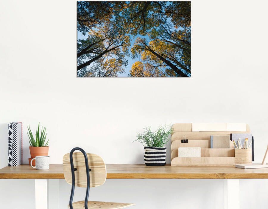 Artland Artprint Herfst in het bos als artprint van aluminium artprint voor buiten artprint op linnen in verschillende maten