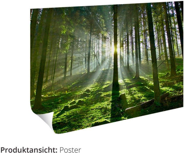 Artland Artprint Herfstige waterval als poster muursticker in verschillende maten