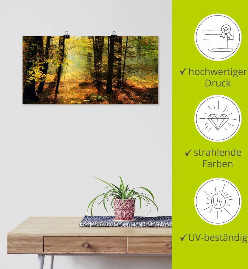 Artland Artprint Herfstlicht in het bos als artprint op linnen poster muursticker in verschillende maten