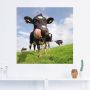 Artland Artprint Holstein-koe met enorme tong als artprint van aluminium artprint voor buiten artprint op linnen poster muursticker - Thumbnail 2