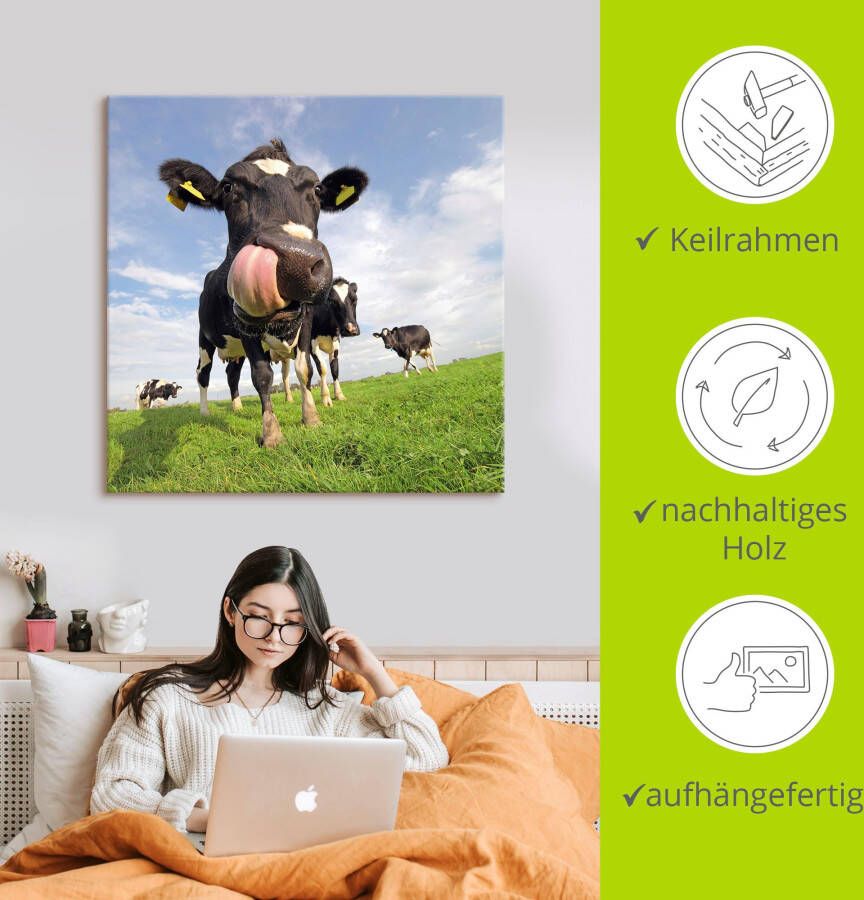 Artland Artprint Holstein-koe met enorme tong als artprint van aluminium artprint voor buiten artprint op linnen poster muursticker