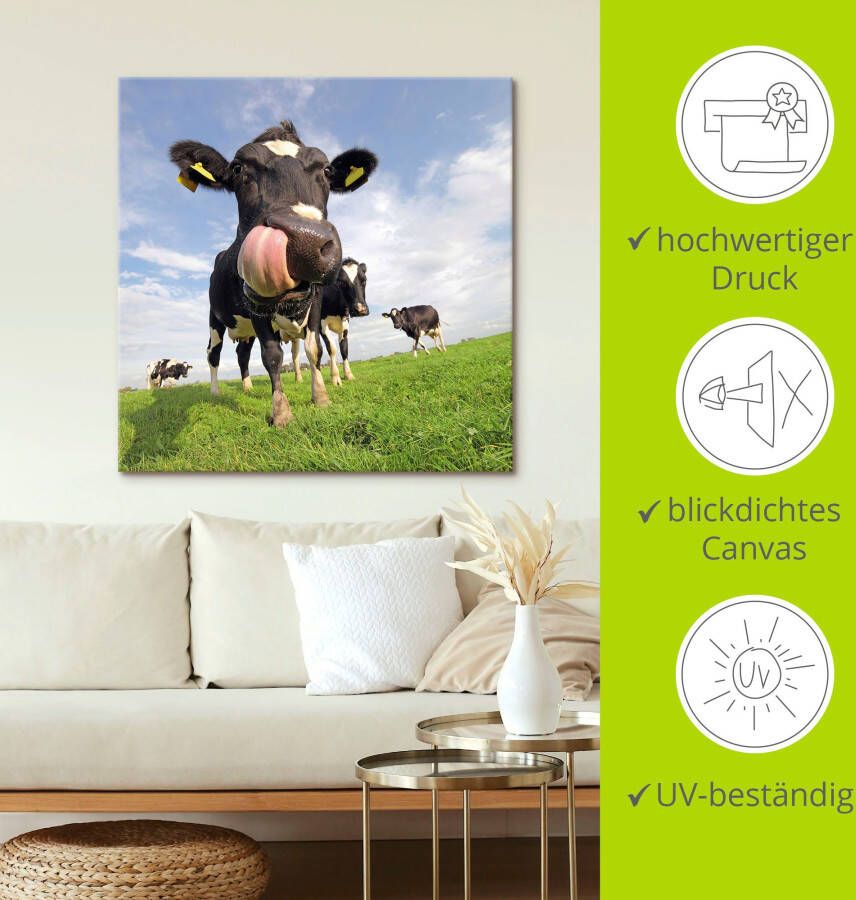 Artland Artprint Holstein-koe met enorme tong als artprint van aluminium artprint voor buiten artprint op linnen poster muursticker