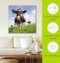 Artland Artprint Holstein-koe met enorme tong als artprint van aluminium artprint voor buiten artprint op linnen poster muursticker - Thumbnail 6