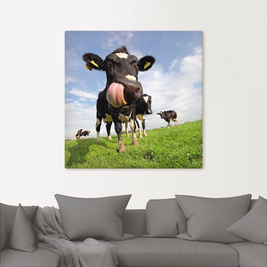 Artland Artprint Holstein-koe met enorme tong als artprint van aluminium artprint voor buiten artprint op linnen poster muursticker