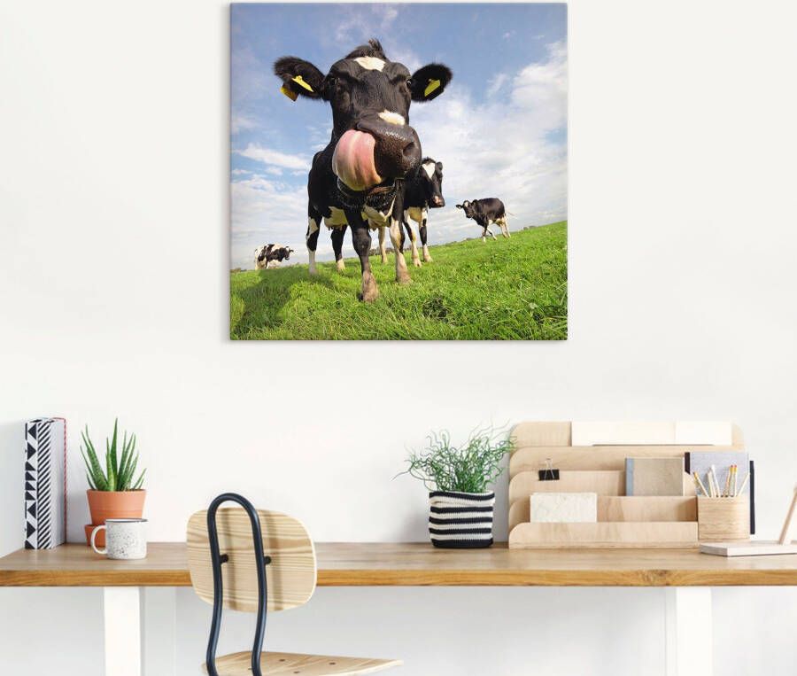 Artland Artprint Holstein-koe met enorme tong als artprint van aluminium artprint voor buiten artprint op linnen poster muursticker