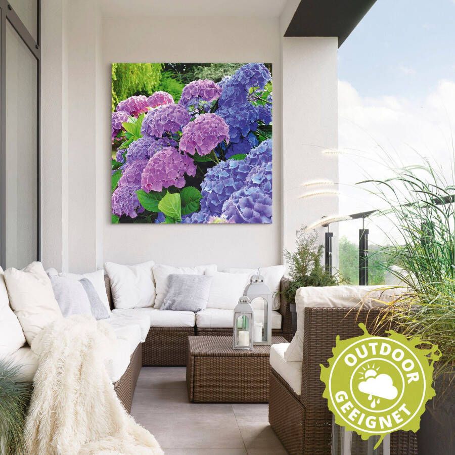 Artland Artprint Hortensia's in de tuin als artprint van aluminium artprint voor buiten artprint op linnen poster muursticker