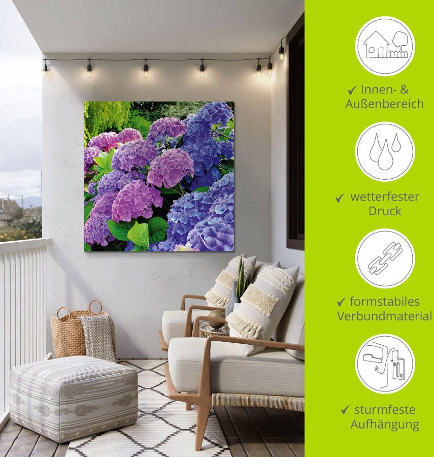 Artland Artprint Hortensia's in de tuin als artprint van aluminium artprint voor buiten artprint op linnen poster muursticker