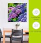 Artland Artprint Hortensia's in de tuin als artprint van aluminium artprint voor buiten artprint op linnen poster muursticker - Thumbnail 6