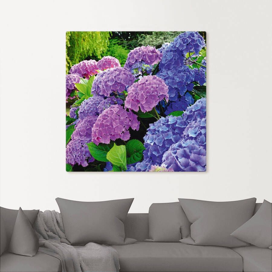 Artland Artprint Hortensia's in de tuin als artprint van aluminium artprint voor buiten artprint op linnen poster muursticker