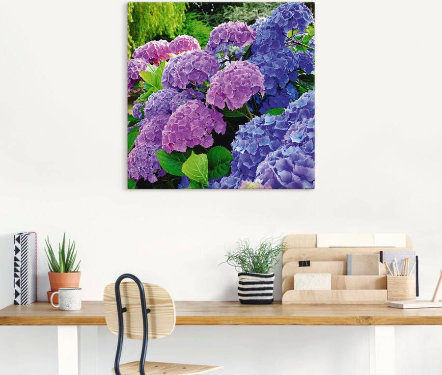 Artland Artprint Hortensia's in de tuin als artprint van aluminium artprint voor buiten artprint op linnen poster muursticker