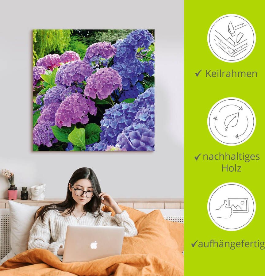 Artland Artprint Hortensia's in de tuin als artprint van aluminium artprint voor buiten artprint op linnen poster muursticker