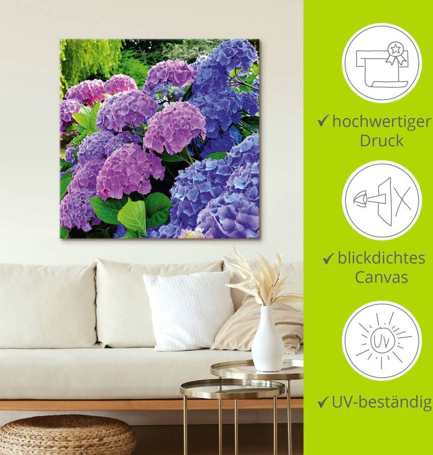 Artland Artprint Hortensia's in de tuin als artprint van aluminium artprint voor buiten artprint op linnen poster muursticker