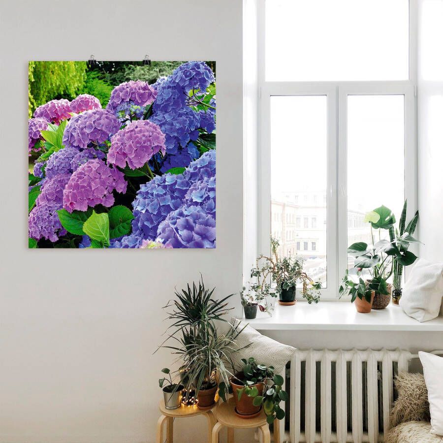 Artland Artprint Hortensia's in de tuin als artprint van aluminium artprint voor buiten artprint op linnen poster muursticker