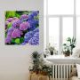 Artland Artprint Hortensia's in de tuin als artprint van aluminium artprint voor buiten artprint op linnen poster muursticker - Thumbnail 2