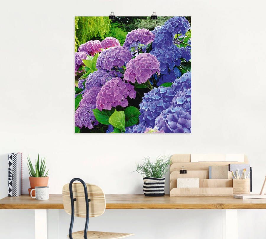 Artland Artprint Hortensia's in de tuin als artprint van aluminium artprint voor buiten artprint op linnen poster muursticker