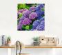 Artland Artprint Hortensia's in de tuin als artprint van aluminium artprint voor buiten artprint op linnen poster muursticker - Thumbnail 4