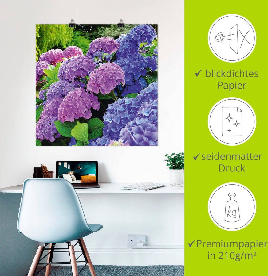 Artland Artprint Hortensia's in de tuin als artprint van aluminium artprint voor buiten artprint op linnen poster muursticker