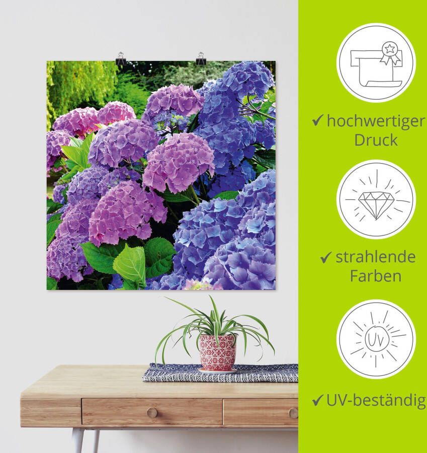 Artland Artprint Hortensia's in de tuin als artprint van aluminium artprint voor buiten artprint op linnen poster muursticker