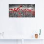 Artland Artprint Idyllisch klaprozenveld met zon als artprint van aluminium artprint voor buiten artprint op linnen poster muursticker - Thumbnail 3