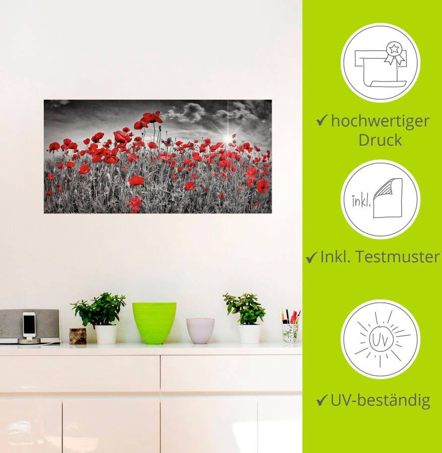 Artland Artprint Idyllisch klaprozenveld met zon als artprint van aluminium artprint voor buiten artprint op linnen poster muursticker