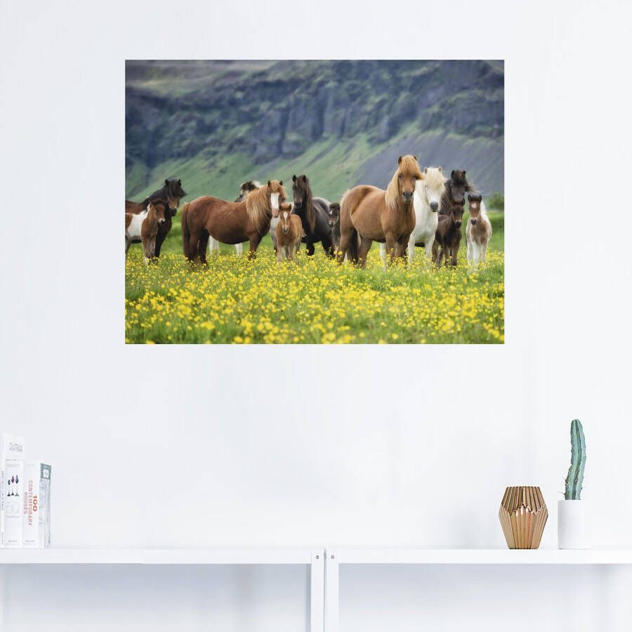 Artland Artprint IJslandse paarden VII als artprint op linnen poster muursticker in verschillende maten