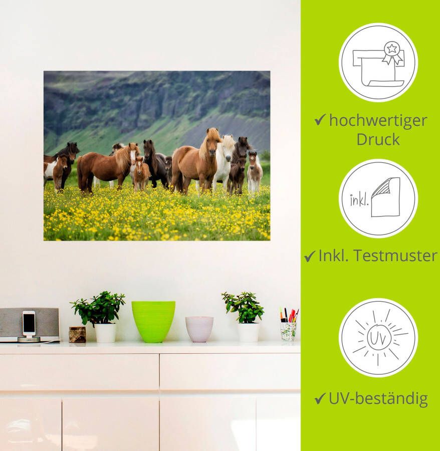 Artland Artprint IJslandse paarden VII als artprint op linnen poster muursticker in verschillende maten