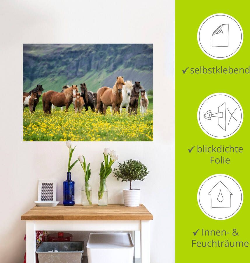 Artland Artprint IJslandse paarden VII als artprint op linnen poster muursticker in verschillende maten