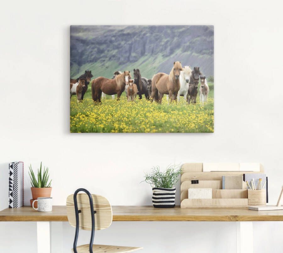 Artland Artprint IJslandse paarden VII als artprint op linnen poster muursticker in verschillende maten