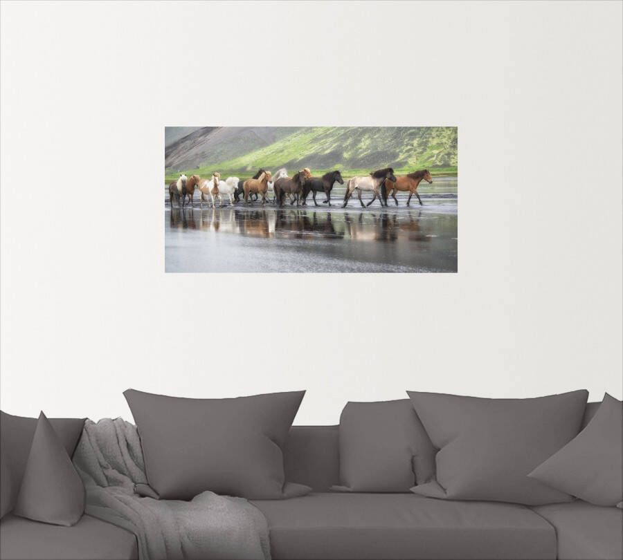 Artland Artprint IJslandse paarden XIV als artprint op linnen muursticker in verschillende maten