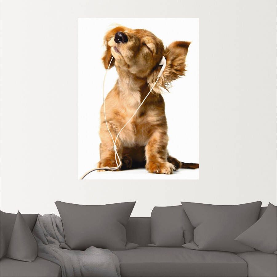 Artland Artprint Jonge hond die naar muziek door hoofdtelefoon luistert als artprint op linnen poster muursticker in verschillende maten