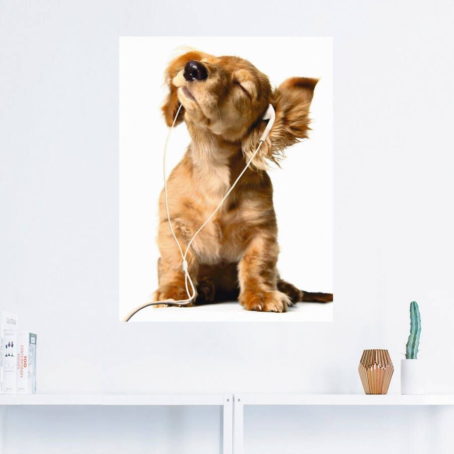 Artland Artprint Jonge hond die naar muziek door hoofdtelefoon luistert als artprint op linnen poster muursticker in verschillende maten