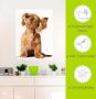 Artland Artprint Jonge hond die naar muziek door hoofdtelefoon luistert als artprint op linnen poster muursticker in verschillende maten - Thumbnail 5