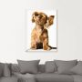 Artland Artprint Jonge hond die naar muziek door hoofdtelefoon luistert als artprint op linnen poster muursticker in verschillende maten - Thumbnail 2