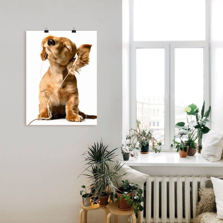 Artland Artprint Jonge hond die naar muziek door hoofdtelefoon luistert als artprint op linnen poster muursticker in verschillende maten