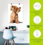 Artland Artprint Jonge hond die naar muziek door hoofdtelefoon luistert als artprint op linnen poster muursticker in verschillende maten - Thumbnail 5