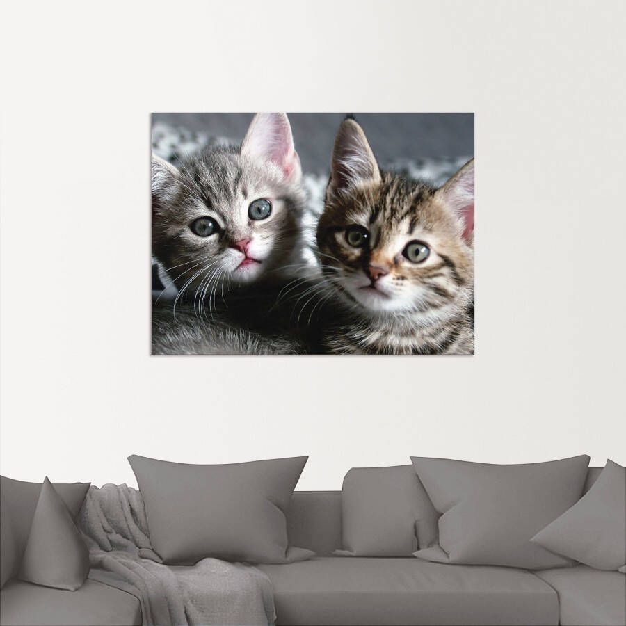 Artland Artprint Kat als artprint van aluminium artprint voor buiten artprint op linnen poster muursticker