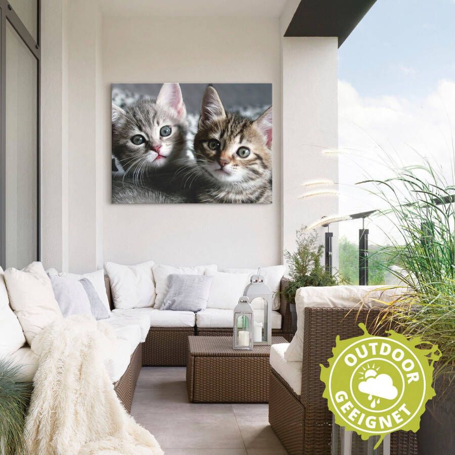 Artland Artprint Kat als artprint van aluminium artprint voor buiten artprint op linnen poster muursticker